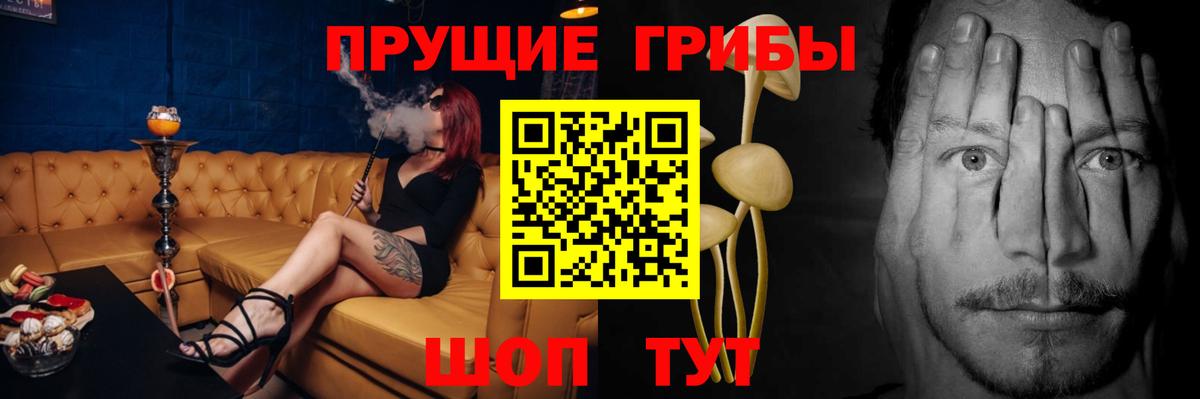 Псилоцибиновые грибы мицелий  Вход с VPN  Галлюциногенные грибы Psilocybine cubensis  Волжский 